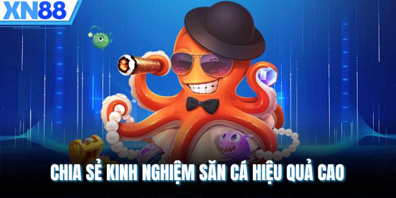 Chia sẻ kinh nghiệm săn cá hiệu quả cao