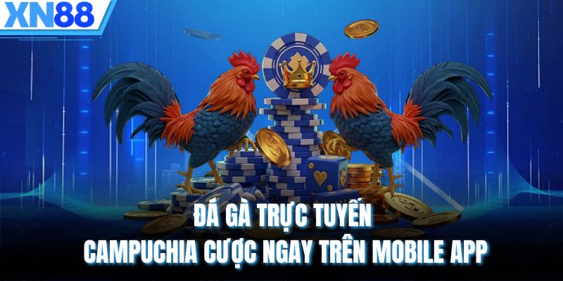 Đá gà trực tuyến Campuchia