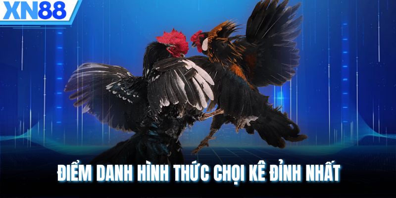 Điểm danh hình thức chọi kê đỉnh nhất