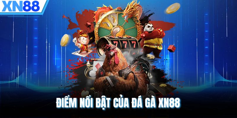 Điểm nổi bật của đá gà XN88