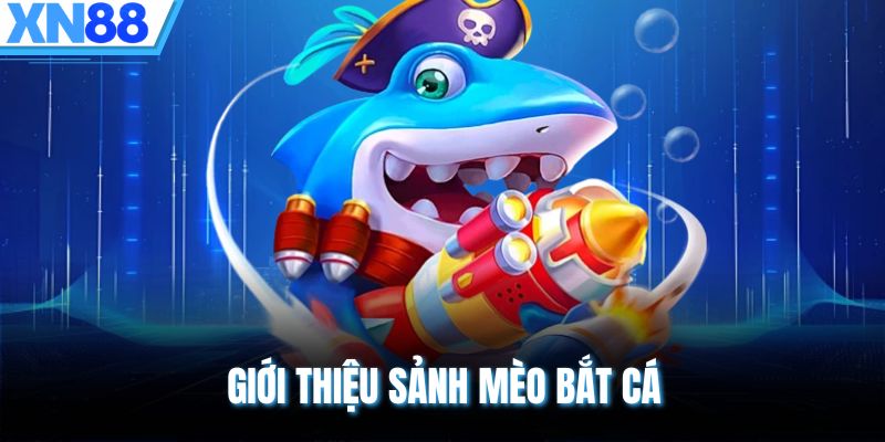 Giới thiệu sảnh mèo bắt cá