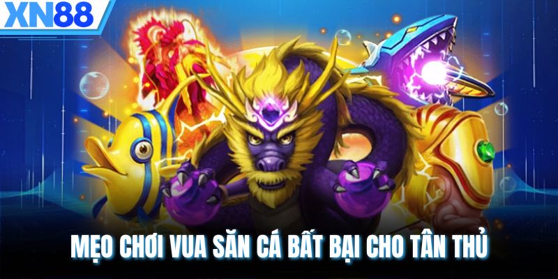 Mẹo chơi vua săn cá bất bại cho tân thủ