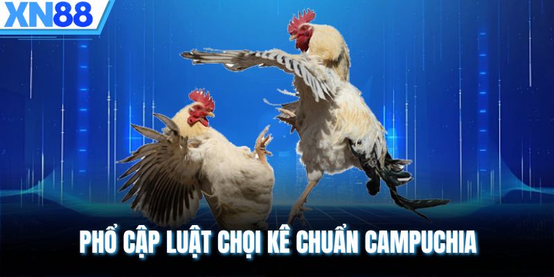 Phổ cập luật chọi kê chuẩn Campuchia