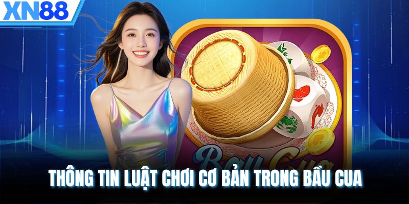 Thông tin luật chơi cơ bản trong Bầu Cua
