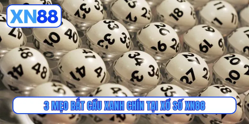 3 mẹo bắt cầu xanh chín tại xổ số XN88