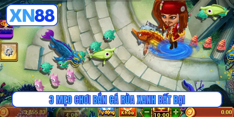3 mẹo chơi bắn cá rùa xanh bất bại