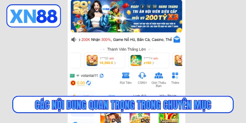 Các nội dung quan trọng trong chuyên mục