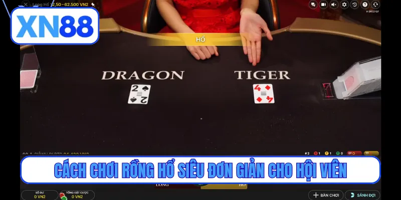 Cách chơi Rồng Hổ siêu đơn giản cho hội viên