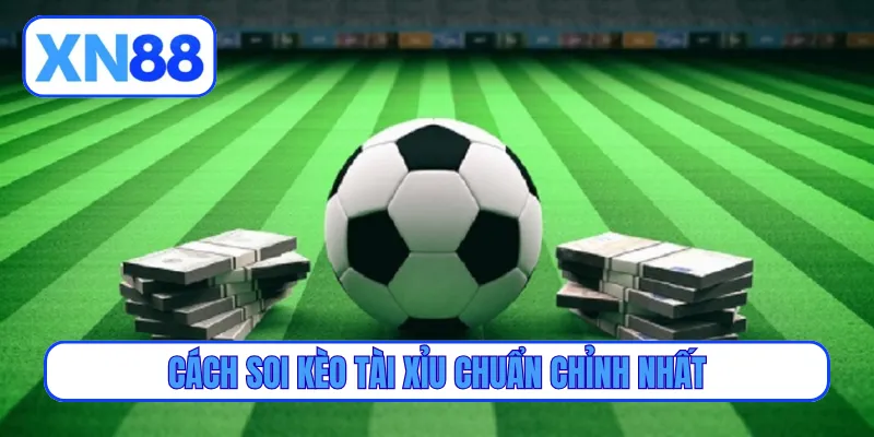 Cách soi kèo tài xỉu chuẩn chỉnh nhất
