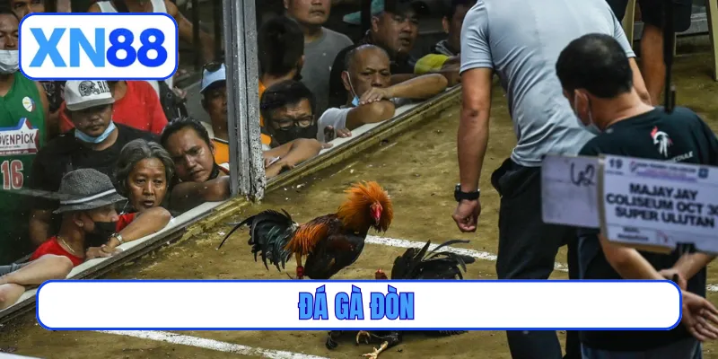 đá gà đòn