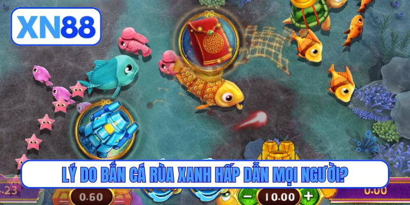 Lý do bắn cá rùa xanh hấp dẫn mọi người?