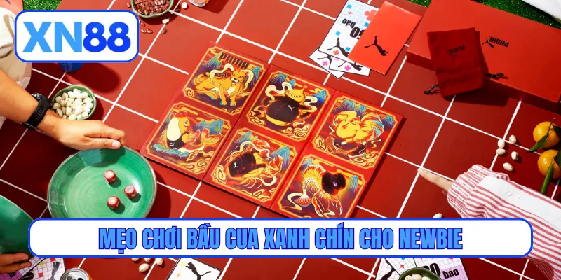 Mẹo chơi bầu cua xanh chín cho newbie