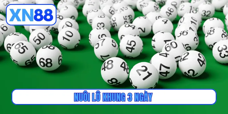 nuôi lô khung 3 ngày