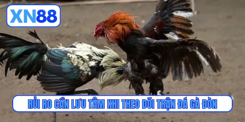 Rủi ro cần lưu tâm khi theo dõi trận đá gà đòn