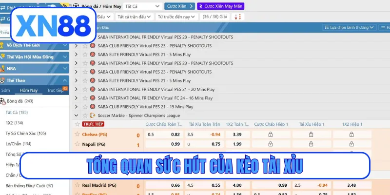 Tổng quan sức hút của kèo tài xỉu