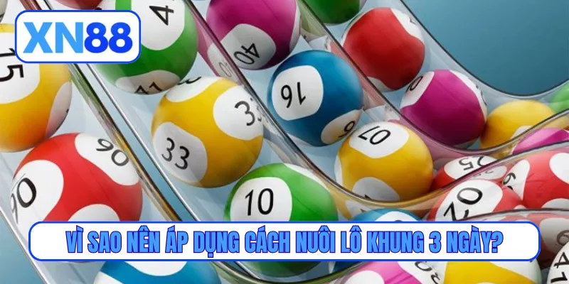 Vì sao nên áp dụng cách nuôi lô khung 3 ngày?