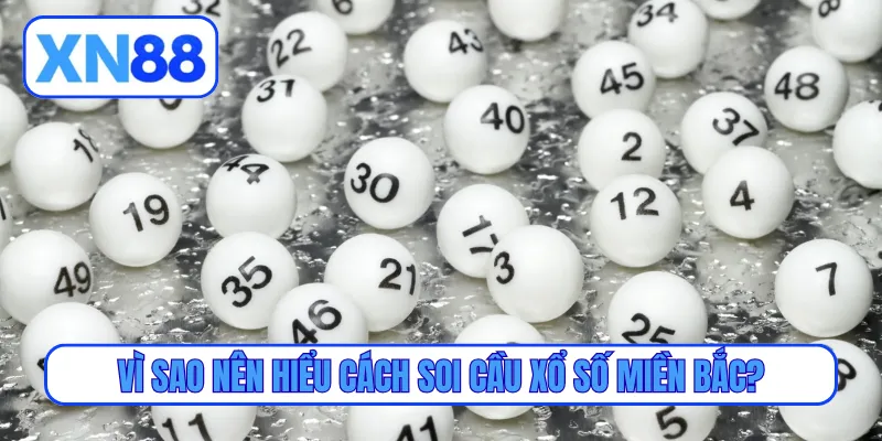 Vì sao nên hiểu cách soi cầu xổ số miền Bắc?